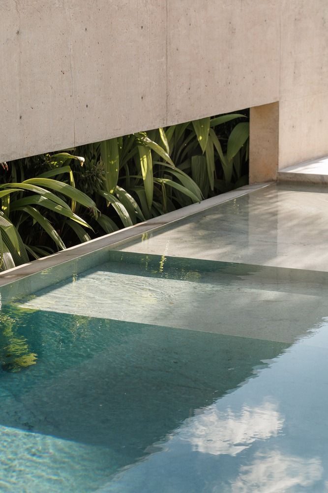 Still water of an architectural pool framed by tropical greenery